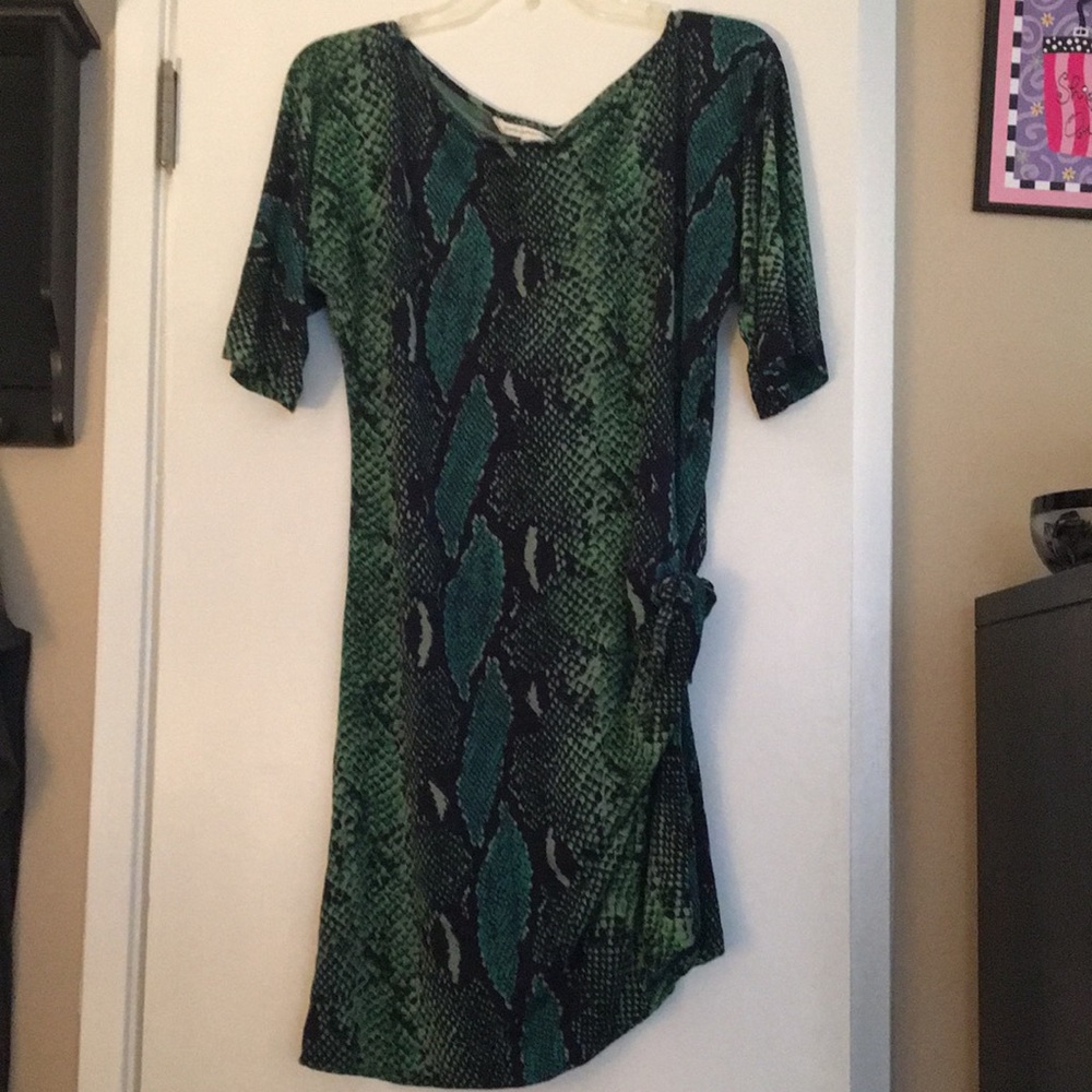 Diane von Furstenberg 100% Snake Print Silk Dress